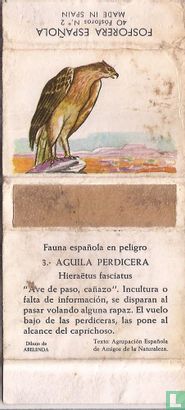 3. Aguila Perdicera