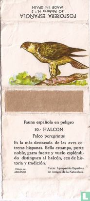 10. Halcon