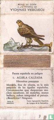 1. Aguila Calzada
