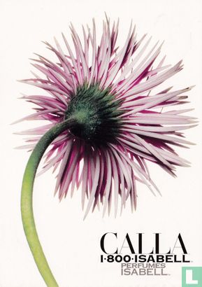 Isabell Perfumes "Calla" - Bild 1