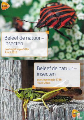 Beleef de natuur - Insecten - Afbeelding 1