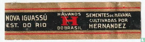 Havanos H do Brasil - Nova Iguassú Est. do Rio - Sementes de Havana cultivadas por Hernandez - Image 1
