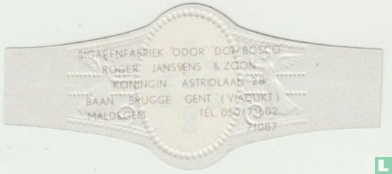Bistro DEN BOER Eeklo - Maldegem - R. Janssens & Zn - Image 2