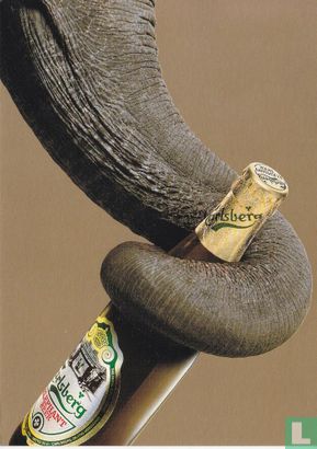 02705 - Carlsberg - Elepahant Beer