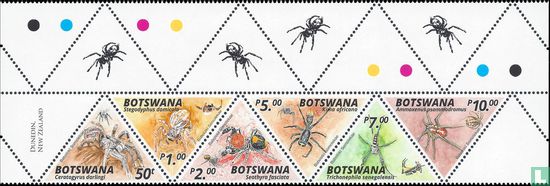Invertebrates of the Kalahari: Spiders