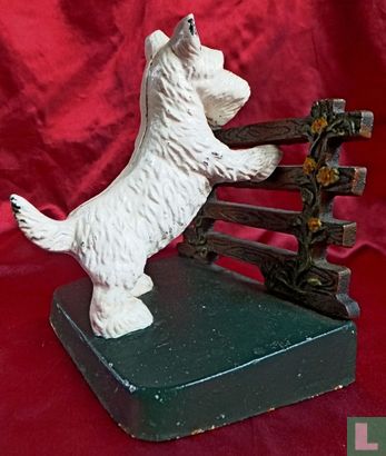 West highland white terrier - Image 2