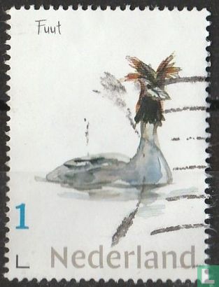 Dutch Waterfowl - Grebe