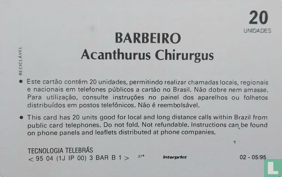 Barbeiro. Acanthurus Chirurgus.Doctorsvis. - Image 2
