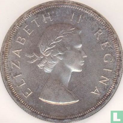 Afrique du Sud 5 shillings 1954 - Image 2