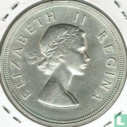 Afrique du Sud 5 shillings 1956 - Image 2