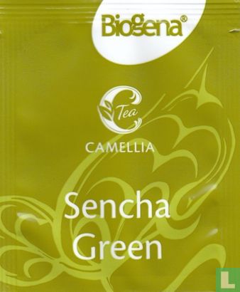Sencha Green - Afbeelding 1