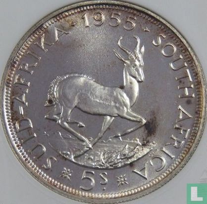 Afrique du Sud 5 shillings 1955 - Image 1