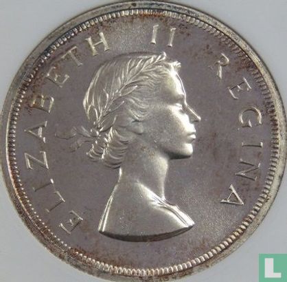 Afrique du Sud 5 shillings 1955 - Image 2