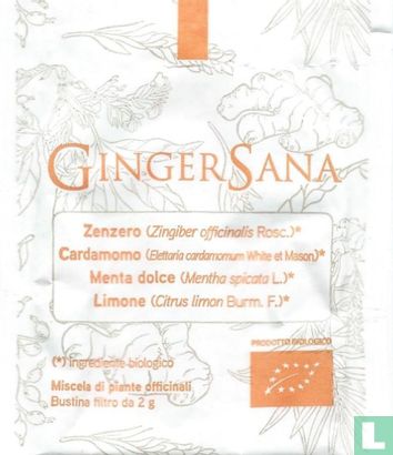 Ginger Sana - Bild 2