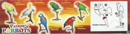 Scarlet Macaw - Image 2