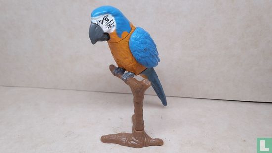 Blue and Yellow Macaw - Afbeelding 1