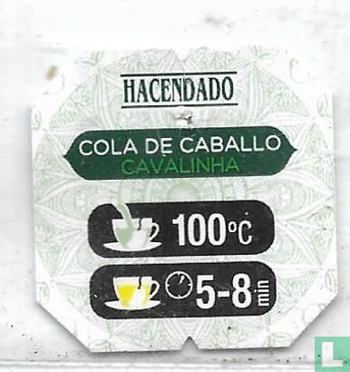 Cola de Caballo - Image 3