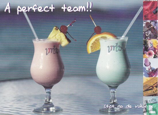 vmbo "A perfect team!!" - Afbeelding 1