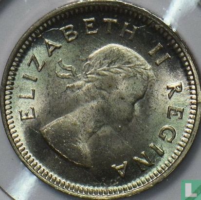 Afrique du Sud 3 pence 1959 (sans KG) - Image 2