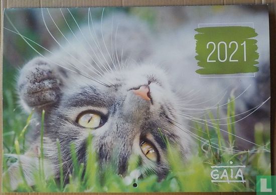Gaia 2021  - Image 1