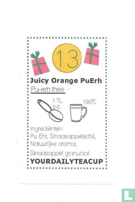 13 Juicy Orange PuErh  - Image 1
