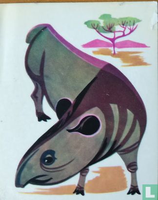 Tapir - Tapiro - Image 1