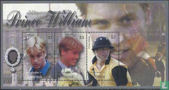 21e verjaardag prins William