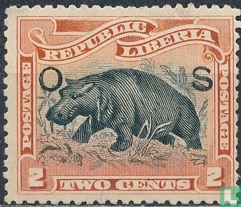 Pygmy hippopotamus 