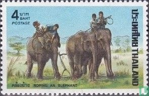Elephants