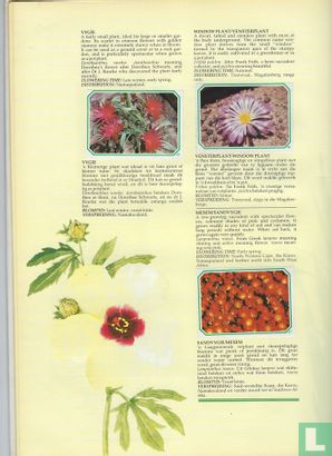 Our Wild Flower Heritage / Ons Veldblomme Erfenis - Bild 3