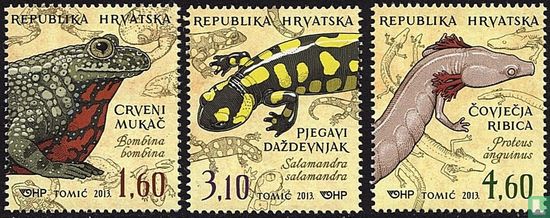 Amphibiens