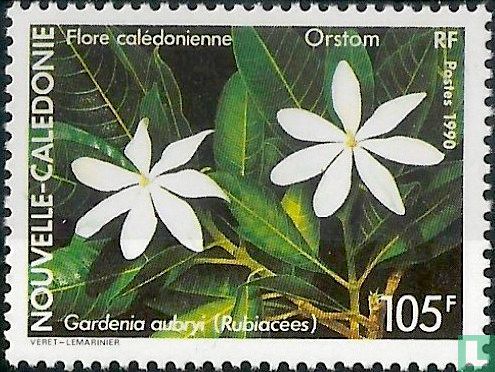 Flora of Caledonia