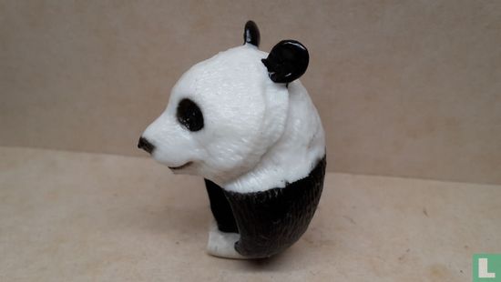 Ring panda - Bild 1