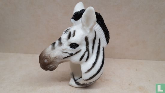 Ring zebra - Afbeelding 1