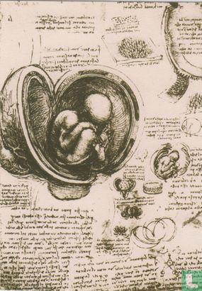 Anatomical Study (facsimile), 1508-1510 - Afbeelding 1