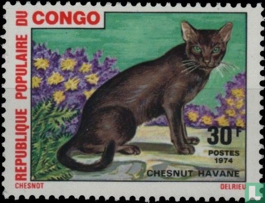 Cats