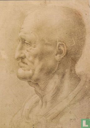 Head of bald old man, silverpoint, ca. 1515 - Afbeelding 1