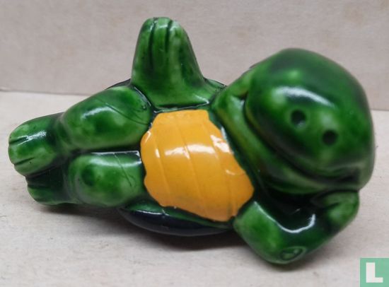 Schildpad - Afbeelding 1