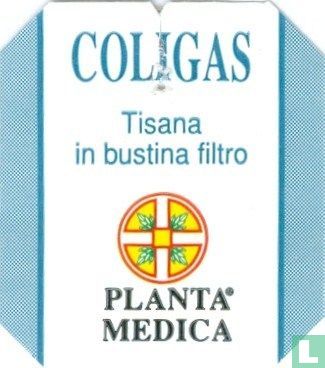 ColiGas  - Afbeelding 3