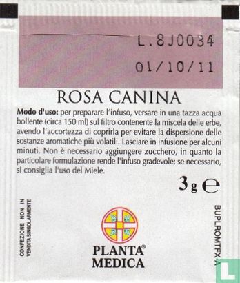 Rosa Canina - Image 2