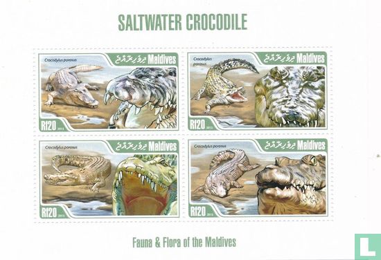 Zoutwater krokodil