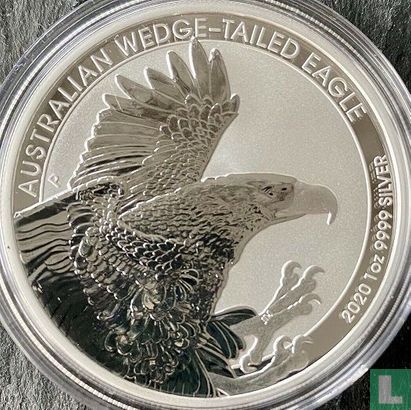 Australien 1 Dollar 2020 "Australian wedge-tailed eagle" - Bild 1