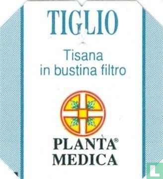Tiglio - Image 3