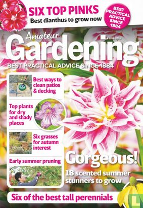 Amateur Gardening 06-08 - Image 1