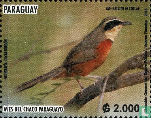 Vögel des Chaco