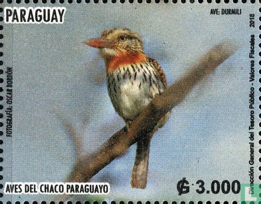 Vögel des Chaco 