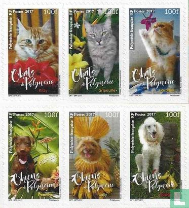 Chiens et chats - Image 1