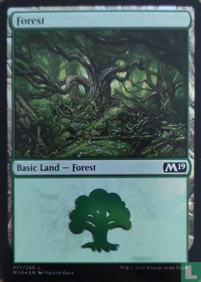 Forest