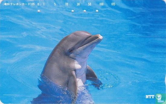 Dolphin - Image 1