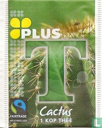 Cactus - Image 1